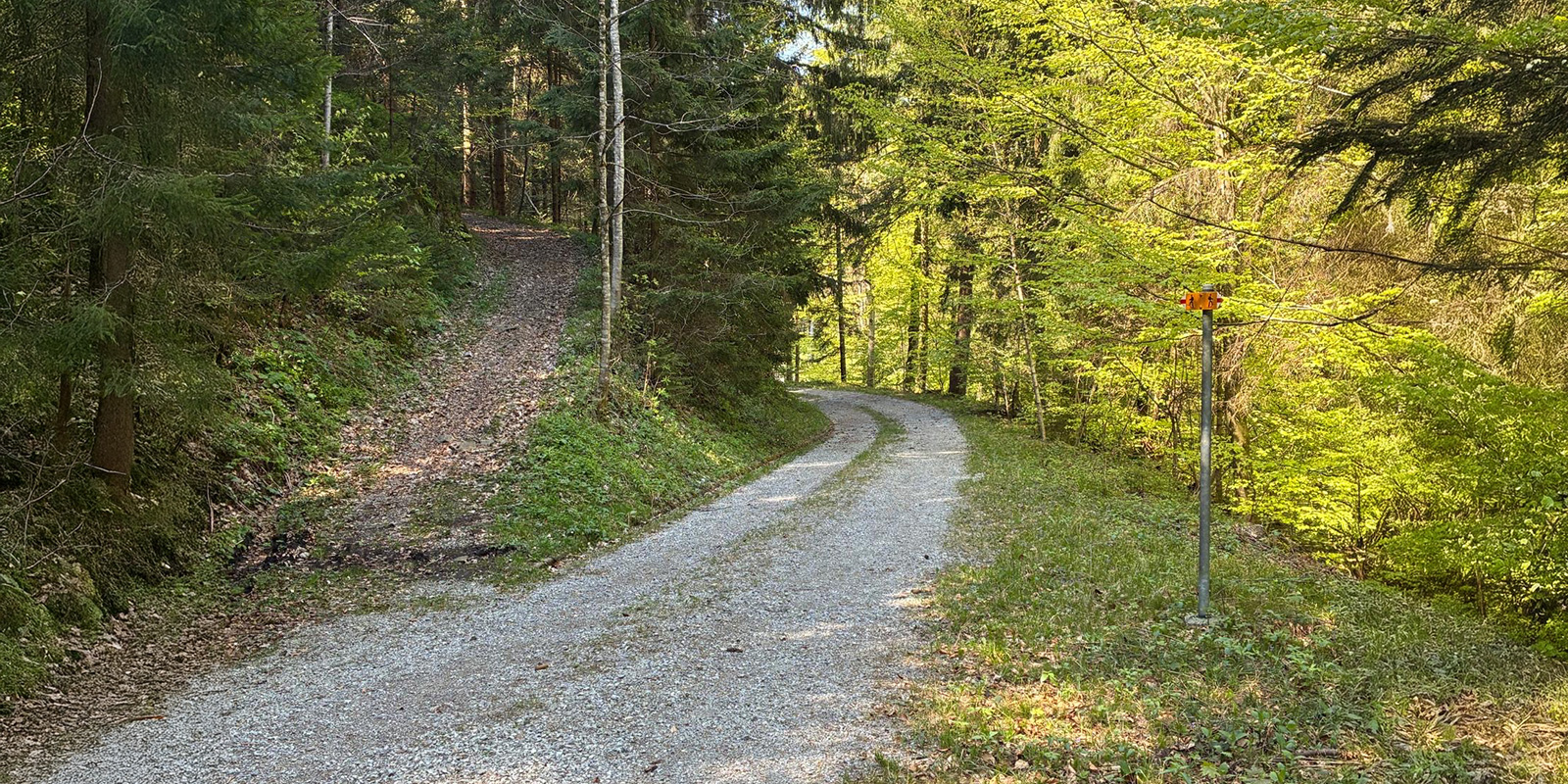 Gemeinsam Wege finden – Unterstützung für Kinder und Jugendliche mit ADHS