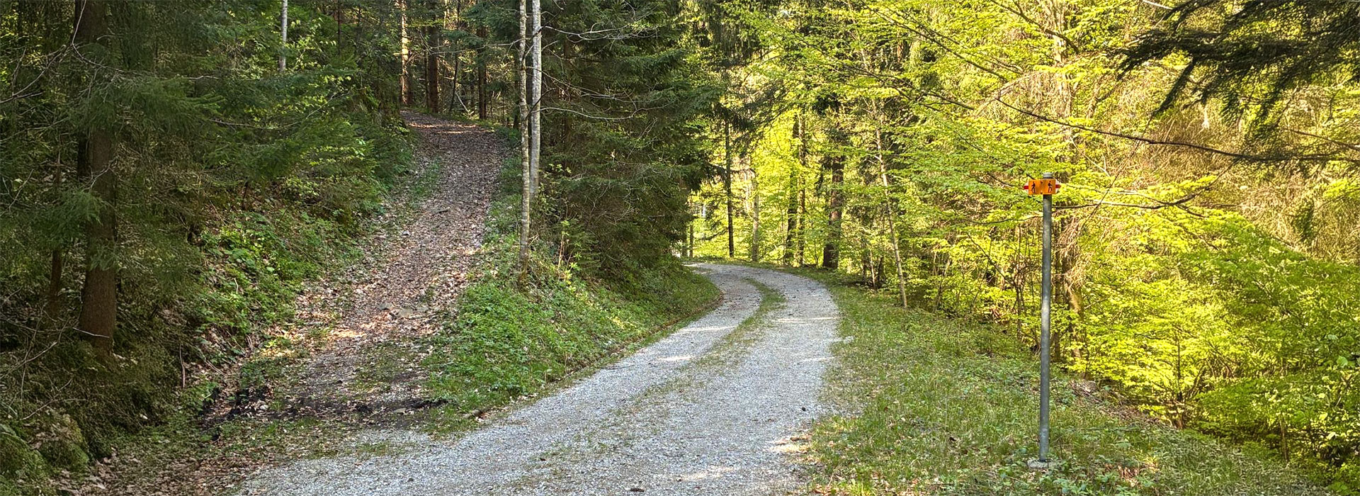 Gemeinsam Wege finden – Unterstützung für Kinder und Jugendliche mit ADHS sowie deren Eltern